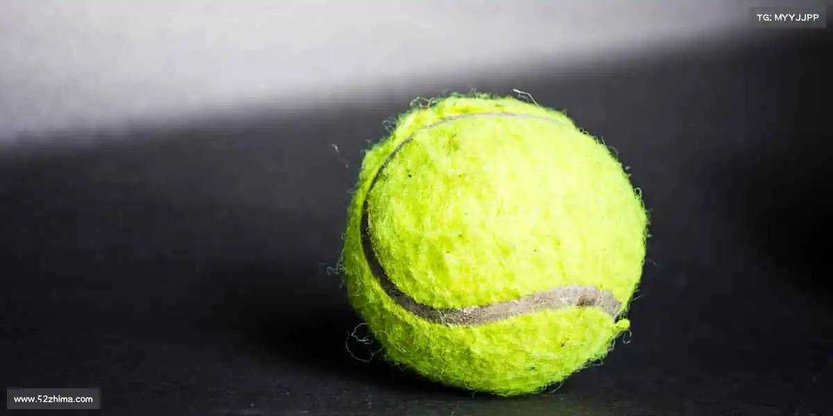 行业领先的理由